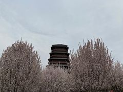 -西安汉城湖景区