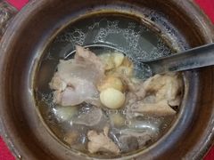 五指毛桃汤-昌茂客家情
