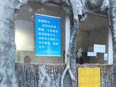 -麻城大别山桐枧冲瀑布群风景区