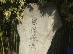 -西安乐游原