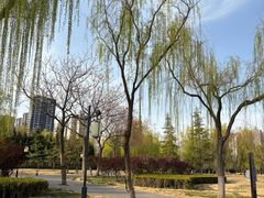 -咸阳湖景区