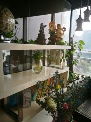 -轩舞汇·爵士舞街舞训练营