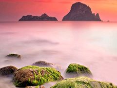 -清真·锦翔炝锅鱼(明德门店)