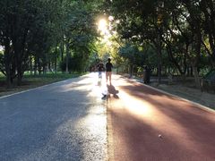 -大兴滨河森林公园