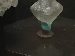 -正佳自然科学博物馆