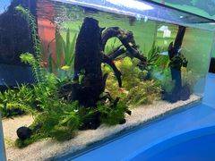 -呼和浩特市老牛儿童探索馆