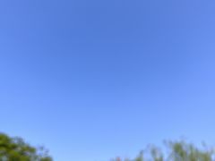 -范蠡湖公园