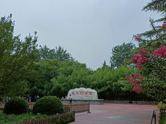 -莲花池公园