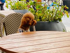 -Peet's Coffee皮爷咖啡(大学路店)