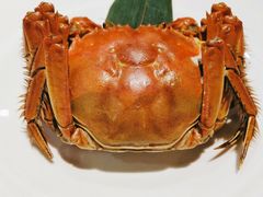 阳澄湖大闸蟹-麟1929(外滩店)
