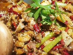 麻辣牛蛙-蛙宝厨