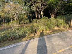 -聚龙山公园