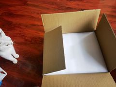 -Gucci(合肥银泰中心店)