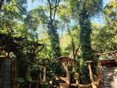 -天门沟九州驿站树上汤泉