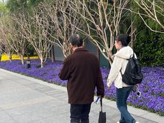 -上海市龙华烈士陵园