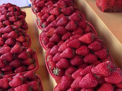 -建德果蔬乐园绪塘草莓基地