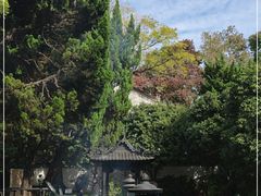 -秋霞圃