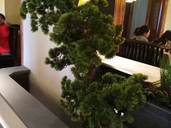 -小江南(高新天泺路店)