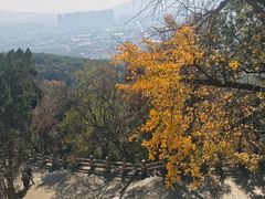 -灵岩山风景区
