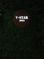 -V-STAR威斯达•高级私人定制