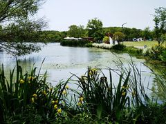 -昆山城市生态森林公园