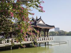 -惠州西湖风景名胜区-丰渚园