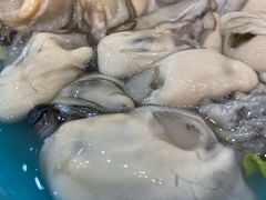 -文昌小老弟糟粕醋