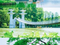-东湖落雁景区