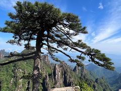 -黄山风景区