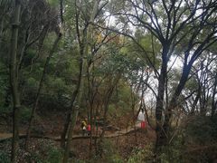 -上海佘山国家森林公园天马山园