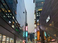 -乐天免税店(明洞店)