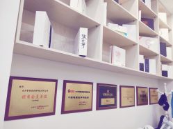 -黑奥秘脱发白发中心