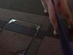 -正新鸡排·炸鸡烧烤(江宁路店)