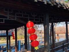 -溱湖国家湿地公园