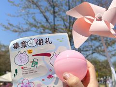 -顾村公园