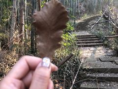 -南山风景名胜区