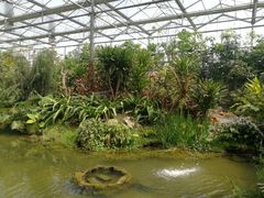 -南通洲际绿博园