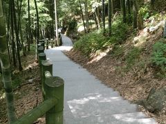 -藏龙百瀑风景区