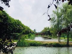 -荷花荡