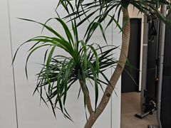 -WEGYMER健萌健身(麦德龙钰龙天下馆)