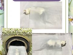 -中农大我爱我爱动物医院·核磁CT·猫病·24小时夜诊中心(石佛营店)
