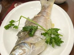 -长平肥姐白粥·海鲜打冷