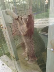 -萌宠亲子动物乐园(槐房万达店)