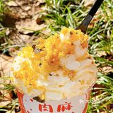 【玉花麻薯小贝】肉松小贝想必都不陌生了