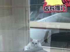 -猫大福·Fortune Cat猫舍(百子湾店)