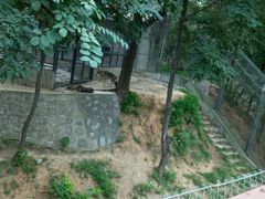 -石家庄市动物园