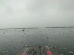-白洋淀景区