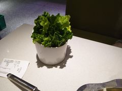 -古乐牛香·鲜牛肉牛杂火锅(新区店)