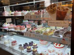 -多乐之日(西苑龙湖店)