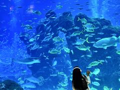 -成都浩海立方海洋公园